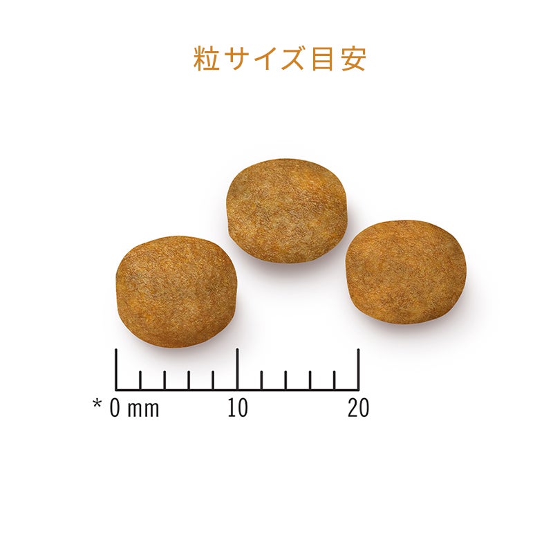 A138 新品 ドッグフード ダイエット NF 腎臓ケア 犬用療法食 NF 腎臓ケア - ドッグフード - ピュリナ プロプラン ベテリナリー